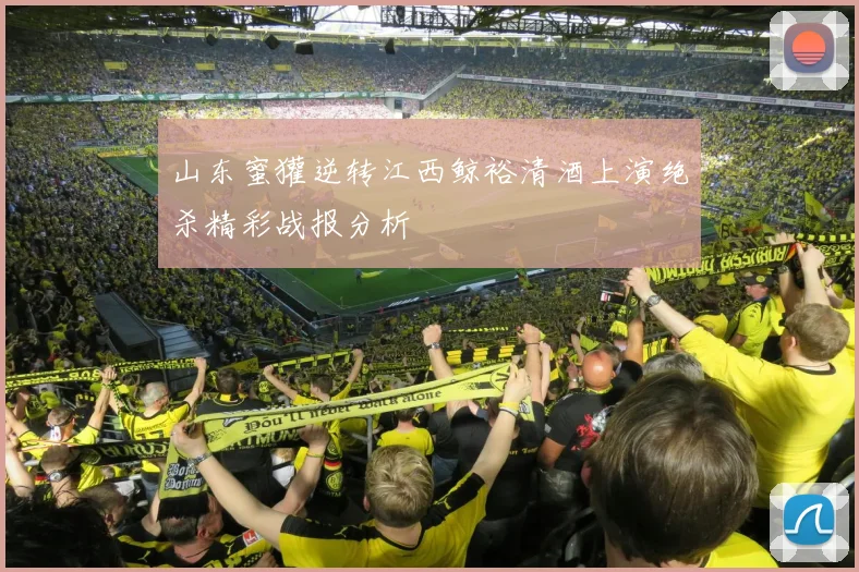 山东蜜獾逆转江西鲸裕清酒上演绝杀精彩战报分析