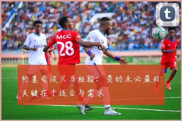 约基奇谈买马经验：贵的未必最好关键在于适合与需求