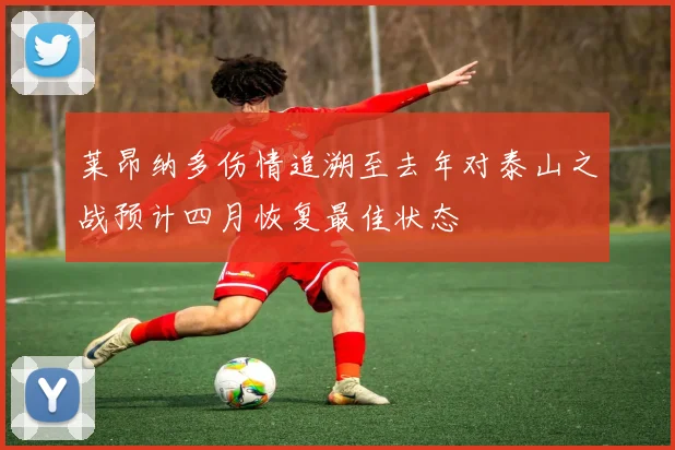 莱昂纳多伤情追溯至去年对泰山之战预计四月恢复最佳状态