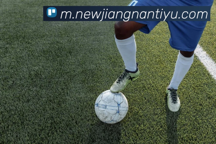 江南体育平台生态图